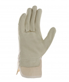 Damen Schweinsvollleder Handschuhe B1137