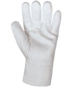 Baumwolljersey-Handschuhe B1787